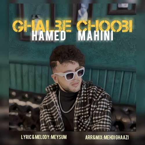 حامد ماهینی قلب چوبی